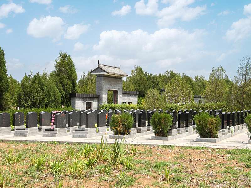 金山陵园拼车是如何安排的 金山陵园的环境怎样
