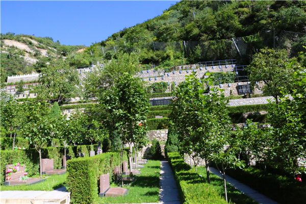 金山陵园电话如何找到 公共交通能否直达金山陵园