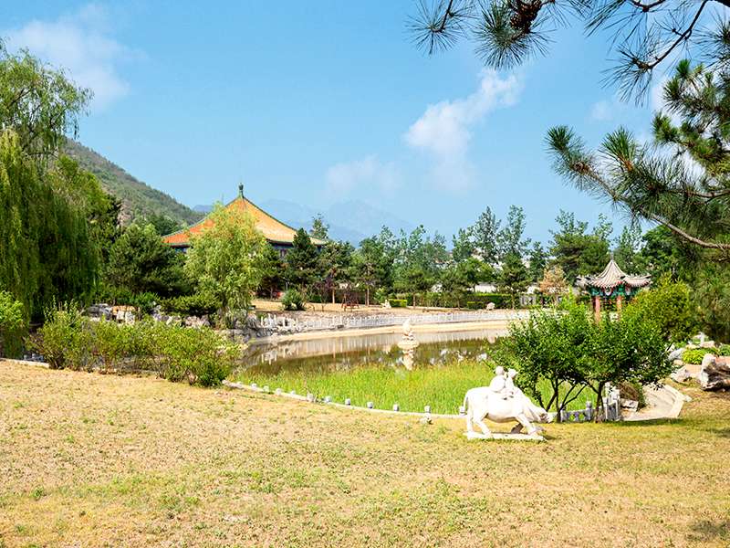 金山陵园网络预约需要注意什么(怎样才能买到好墓地)